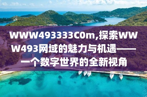 WWW493333C0m,探索WWW493网域的魅力与机遇——一个数字世界的全新视角