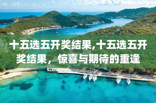 十五选五开奖结果,十五选五开奖结果，惊喜与期待的重逢