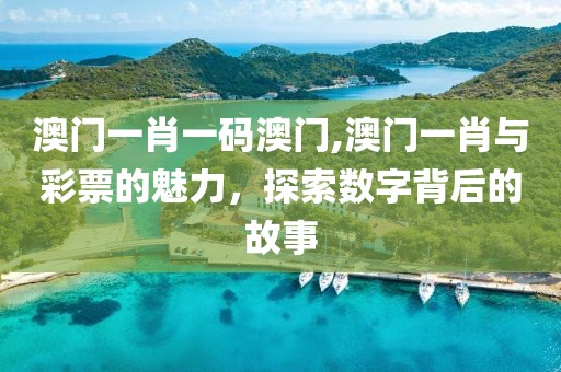 澳门一肖一码澳门,澳门一肖与彩票的魅力，探索数字背后的故事