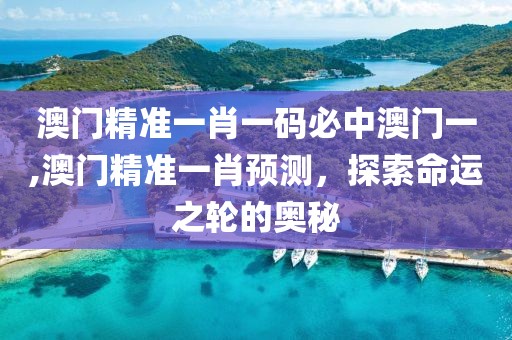 澳门精准一肖一码必中澳门一,澳门精准一肖预测，探索命运之轮的奥秘