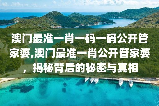 澳门最准一肖一码一码公开管家婆,澳门最准一肖公开管家婆，揭秘背后的秘密与真相