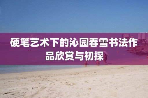 硬笔艺术下的沁园春雪书法作品欣赏与初探