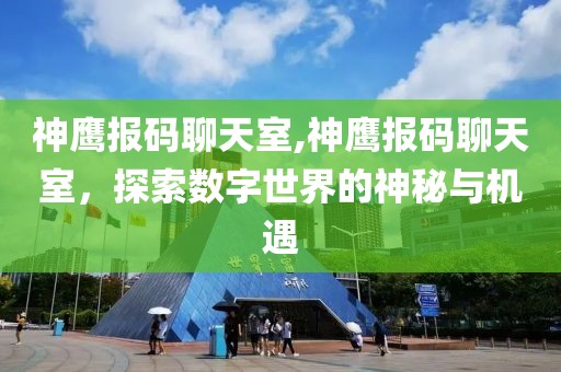 神鹰报码聊天室,神鹰报码聊天室，探索数字世界的神秘与机遇
