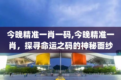 今晚精准一肖一码,今晚精准一肖，探寻命运之码的神秘面纱