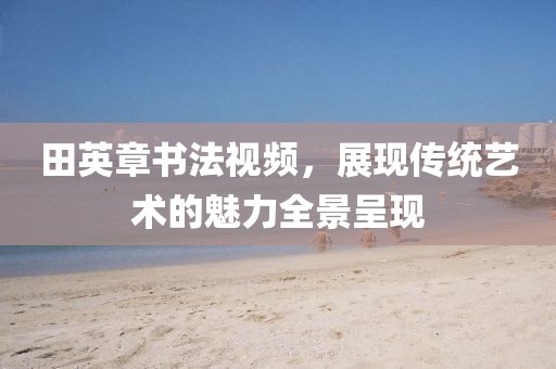 田英章书法视频，展现传统艺术的魅力全景呈现