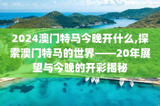 2024澳门特马今晚开什么,探索澳门特马的世界——20年展望与今晚的开彩揭秘