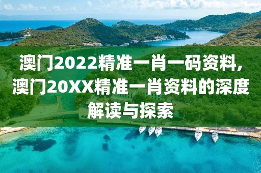 澳门2022精准一肖一码资料,澳门20XX精准一肖资料的深度解读与探索