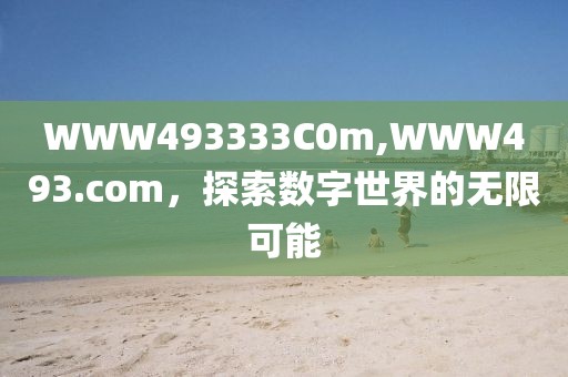 WWW493333C0m,WWW493.com，探索数字世界的无限可能