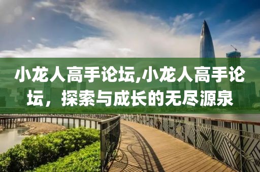 小龙人高手论坛,小龙人高手论坛，探索与成长的无尽源泉