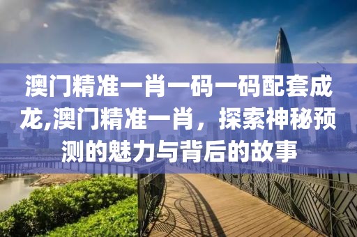 澳门精准一肖一码一码配套成龙,澳门精准一肖，探索神秘预测的魅力与背后的故事