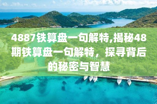 4887铁算盘一句解特,揭秘48期铁算盘一句解特，探寻背后的秘密与智慧
