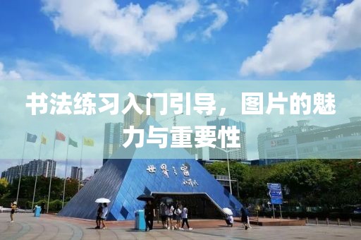 书法练习入门引导，图片的魅力与重要性