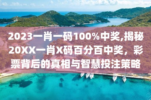 2023一肖一码100%中奖,揭秘20XX一肖X码百分百中奖，彩票背后的真相与智慧投注策略