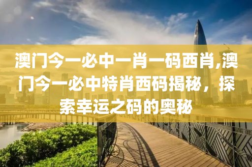 澳门今一必中一肖一码西肖,澳门今一必中特肖西码揭秘，探索幸运之码的奥秘