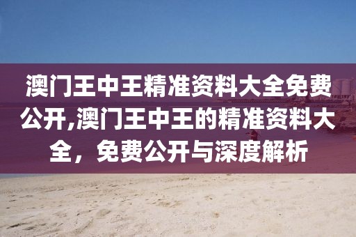 澳门王中王精准资料大全免费公开,澳门王中王的精准资料大全，免费公开与深度解析