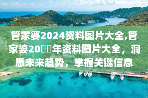 管家婆2024资料图片大全,管家婆20​​年资料图片大全，洞悉未来趋势，掌握关键信息