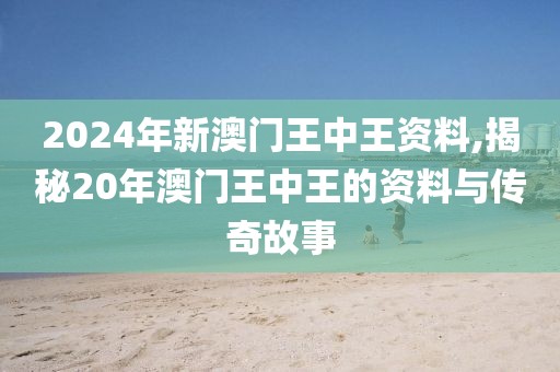 2024年新澳门王中王资料,揭秘20年澳门王中王的资料与传奇故事
