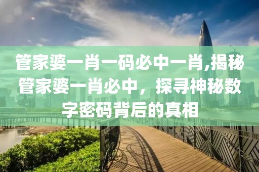 管家婆一肖一码必中一肖,揭秘管家婆一肖必中，探寻神秘数字密码背后的真相