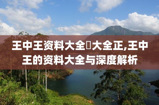 王中王资料大全枓大全正,王中王的资料大全与深度解析