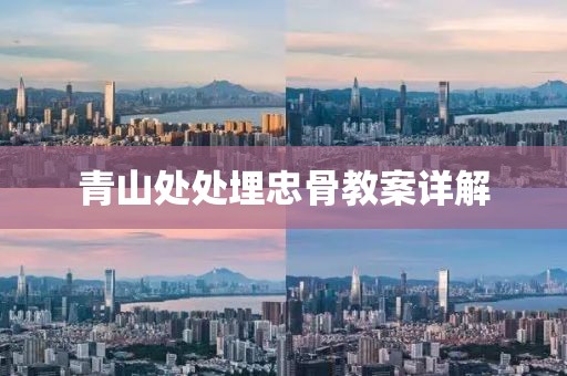 青山处处埋忠骨教案详解
