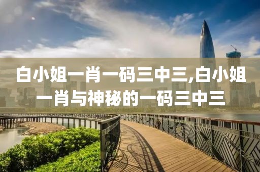 白小姐一肖一码三中三,白小姐一肖与神秘的一码三中三