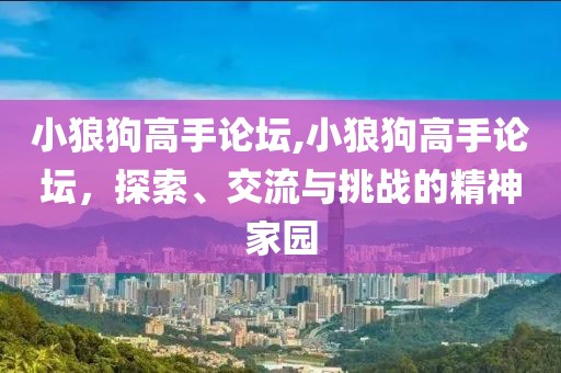 小狼狗高手论坛,小狼狗高手论坛，探索、交流与挑战的精神家园