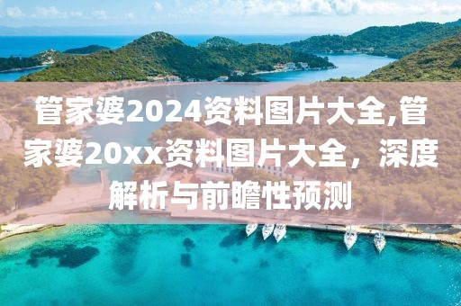 管家婆2024资料图片大全,管家婆20xx资料图片大全，深度解析与前瞻性预测