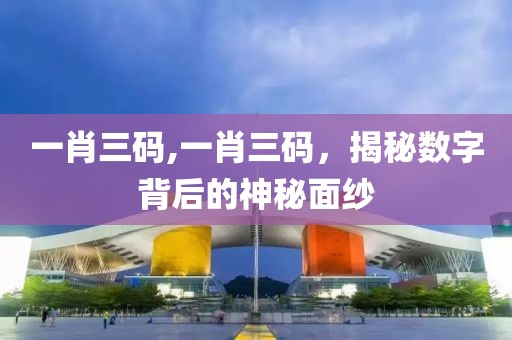 一肖三码,一肖三码，揭秘数字背后的神秘面纱