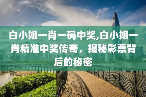 白小姐一肖一码中奖,白小姐一肖精准中奖传奇，揭秘彩票背后的秘密