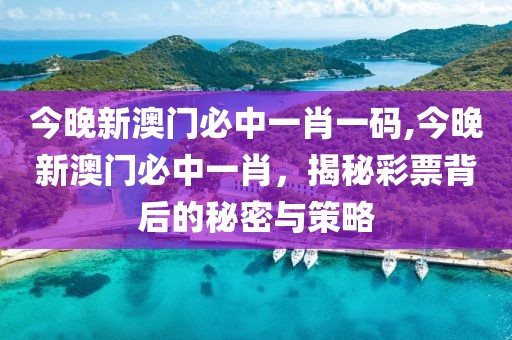 今晚新澳门必中一肖一码,今晚新澳门必中一肖，揭秘彩票背后的秘密与策略