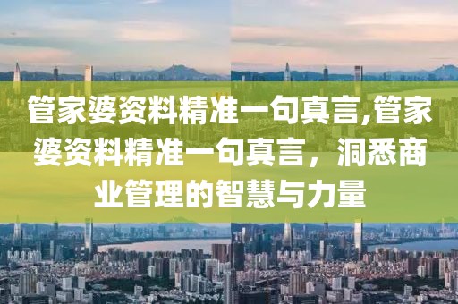 管家婆资料精准一句真言,管家婆资料精准一句真言，洞悉商业管理的智慧与力量