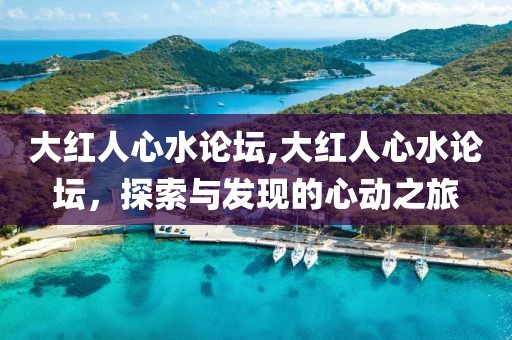 大红人心水论坛,大红人心水论坛，探索与发现的心动之旅