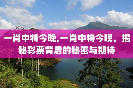 一肖中特今晚,一肖中特今晚，揭秘彩票背后的秘密与期待