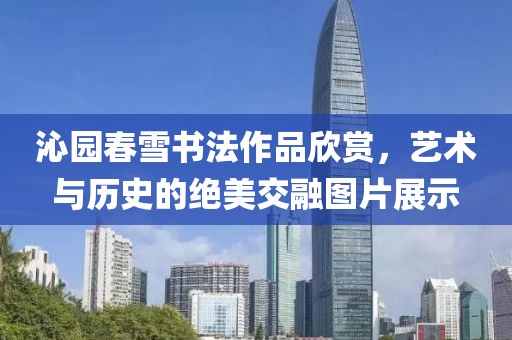 沁园春雪书法作品欣赏，艺术与历史的绝美交融图片展示