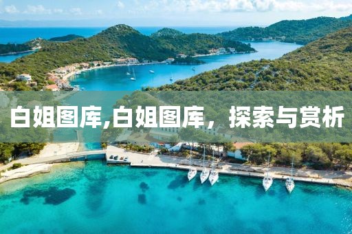 白姐图库,白姐图库，探索与赏析