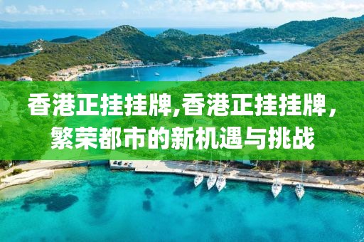 香港正挂挂牌,香港正挂挂牌，繁荣都市的新机遇与挑战