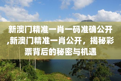 新澳门精准一肖一码准确公开,新澳门精准一肖公开，揭秘彩票背后的秘密与机遇