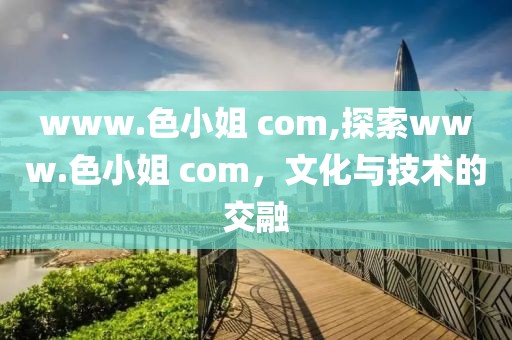 www.色小姐 com,探索www.色小姐 com，文化与技术的交融
