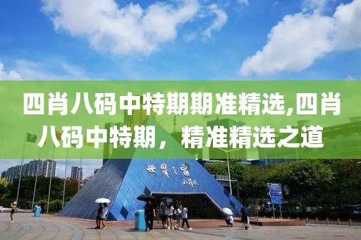 四肖八码中特期期准精选,四肖八码中特期，精准精选之道