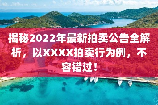 揭秘2022年最新拍卖公告全解析，以XXXX拍卖行为例，不容错过！