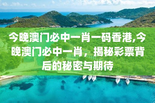 今晚澳门必中一肖一码香港,今晚澳门必中一肖，揭秘彩票背后的秘密与期待