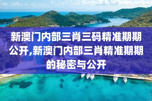新澳门内部三肖三码精准期期公开,新澳门内部三肖精准期期的秘密与公开