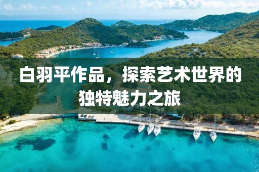 白羽平作品，探索艺术世界的独特魅力之旅