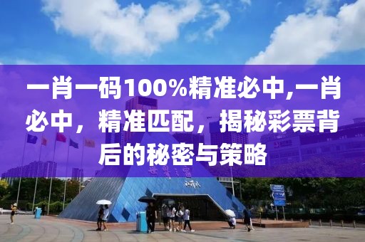 一肖一码100%精准必中,一肖必中，精准匹配，揭秘彩票背后的秘密与策略