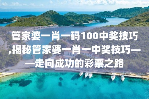 管家婆一肖一码100中奖技巧,揭秘管家婆一肖一中奖技巧——走向成功的彩票之路
