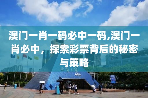 澳门一肖一码必中一码,澳门一肖必中，探索彩票背后的秘密与策略