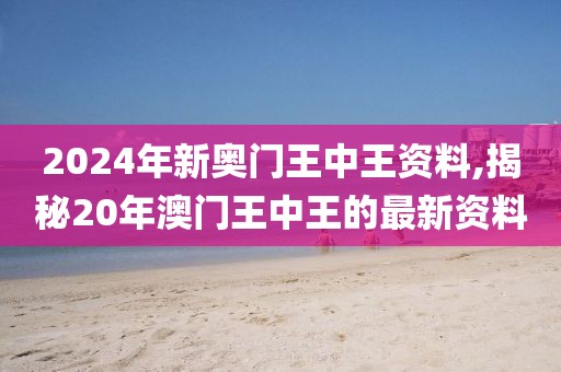 2024年新奥门王中王资料,揭秘20年澳门王中王的最新资料