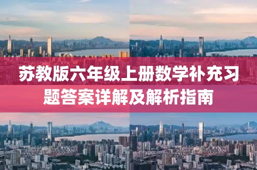 苏教版六年级上册数学补充习题答案详解及解析指南