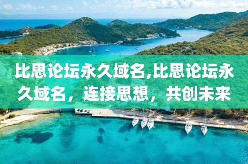 比思论坛永久域名,比思论坛永久域名，连接思想，共创未来