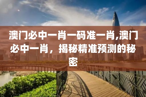 澳门必中一肖一码准一肖,澳门必中一肖，揭秘精准预测的秘密